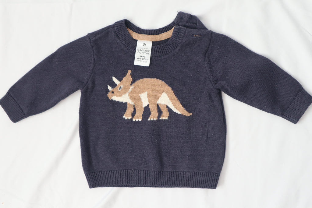 Target Dino Sweater