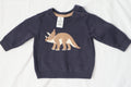 Target Dino Sweater