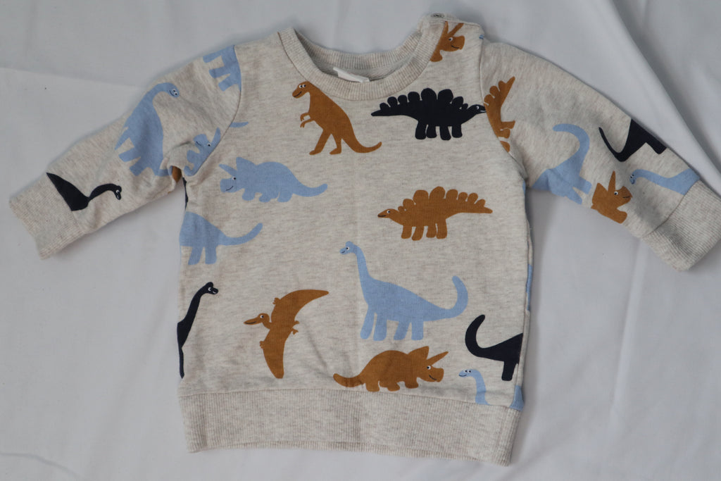 Seed Dinosaur Sweater