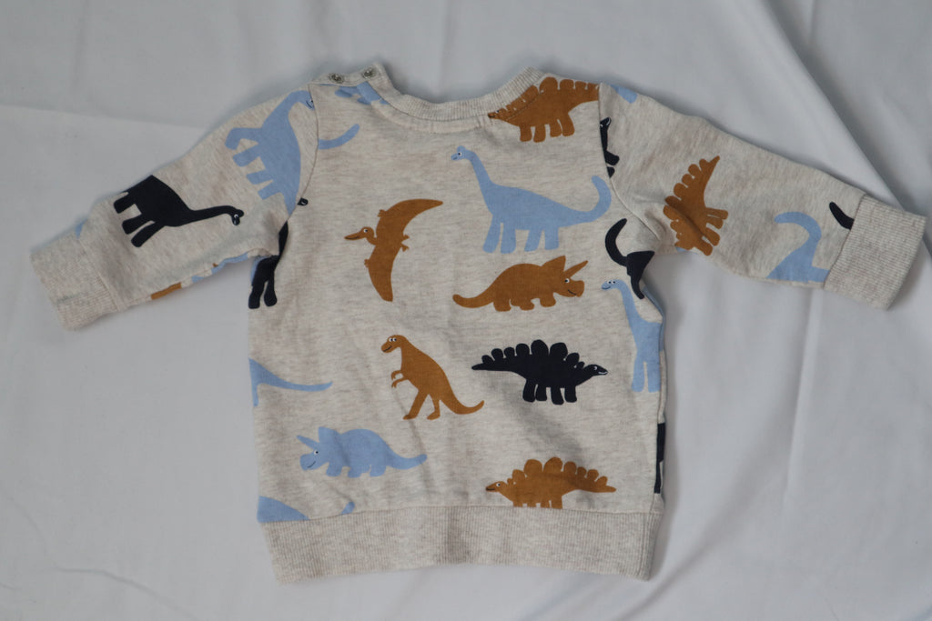 Seed Dinosaur Sweater