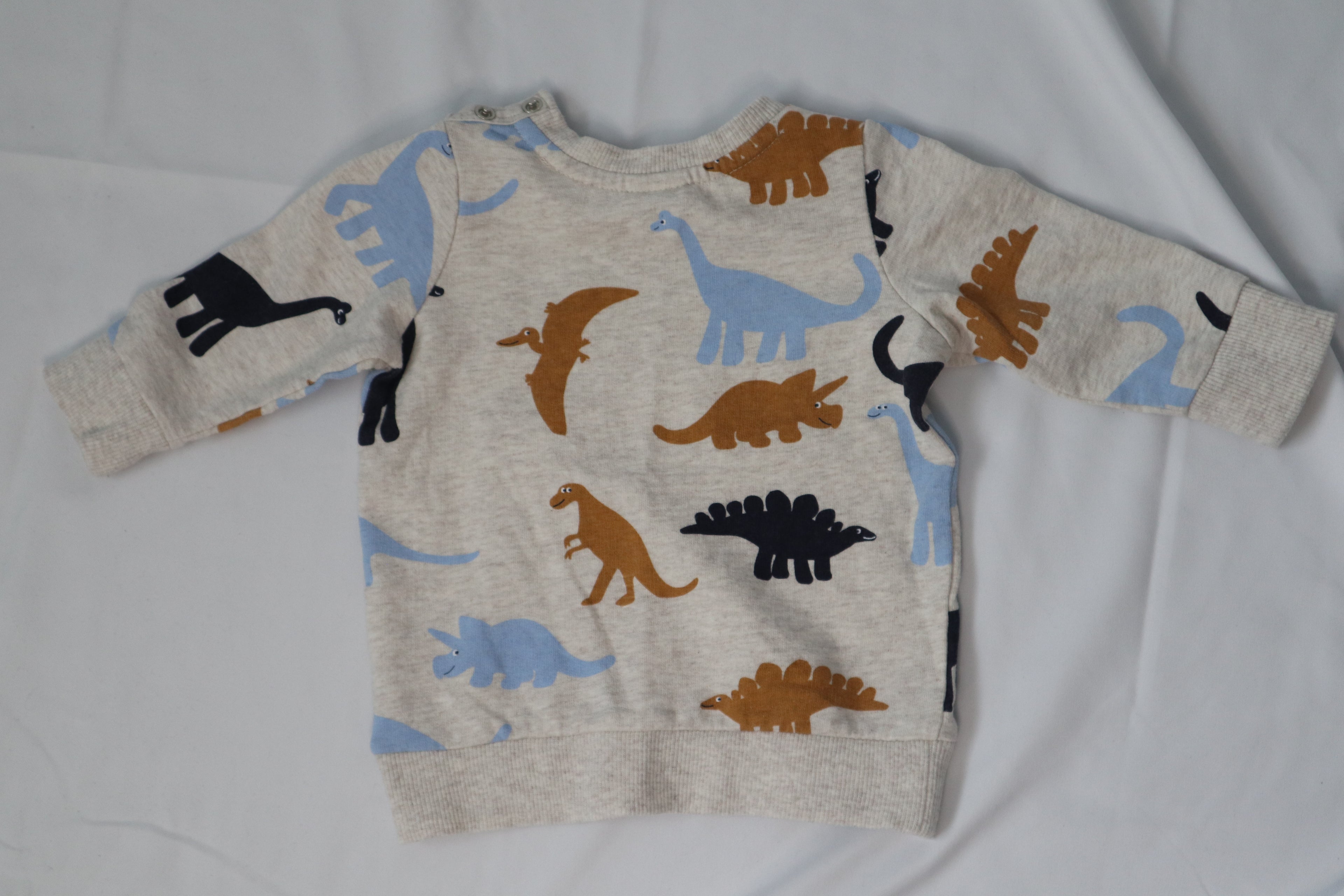 Seed Dinosaur Sweater