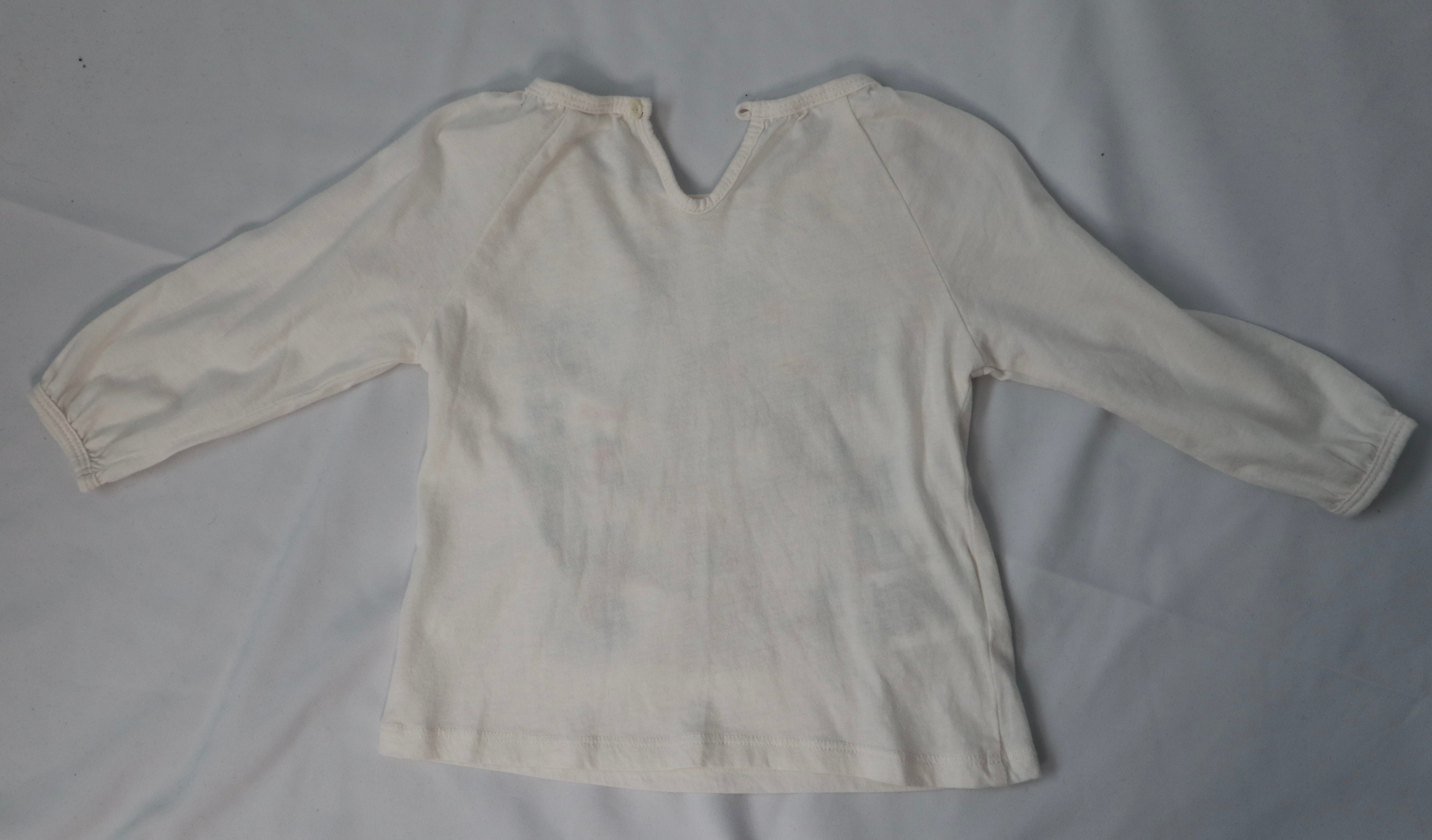 Country Road Owl Top