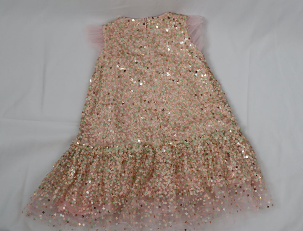 Seed Sequin Dress