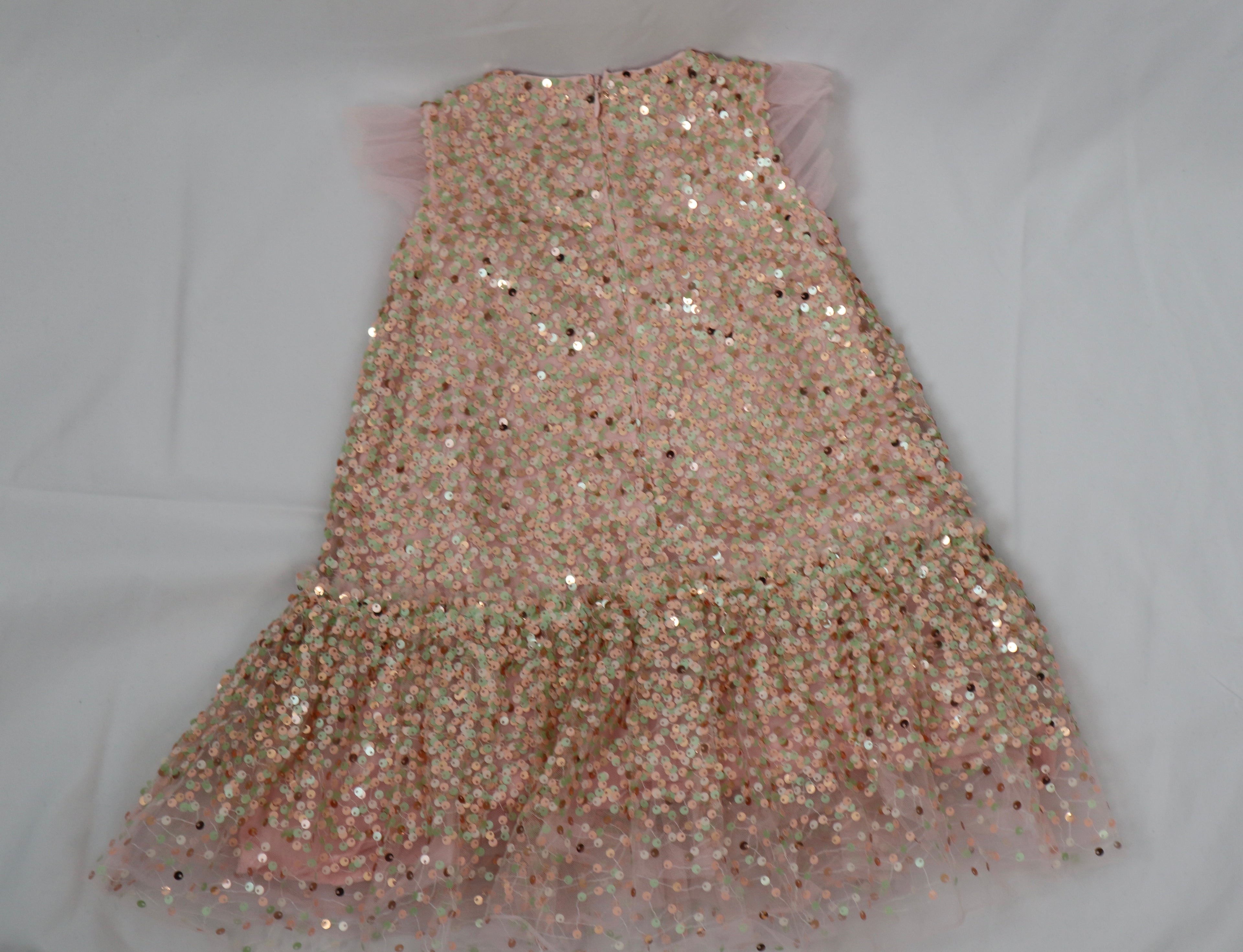 Seed Sequin Dress