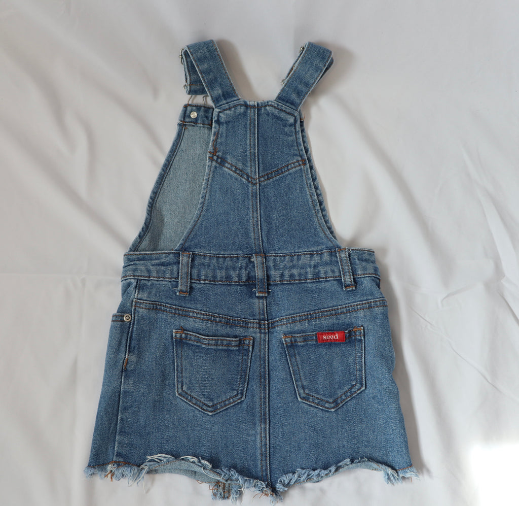 Seed Frayed Denim Overalls